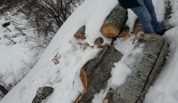 Kontrollohen 5 shtëpi në Shtërpcë, konfiskohen rreth 30 m3 drunjë