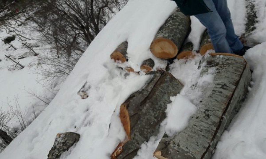 Kontrollohen 5 shtëpi në Shtërpcë, konfiskohen rreth 30 m3 drunjë