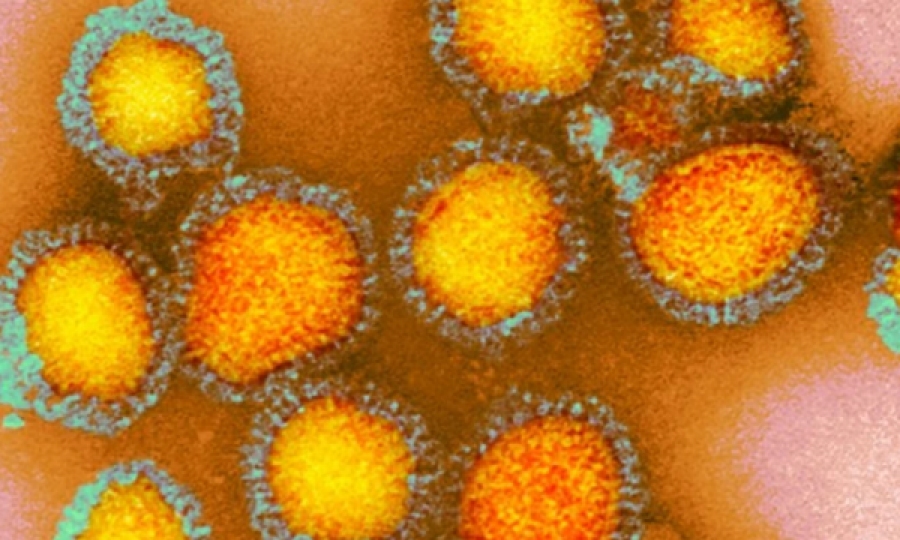 ‘Gripi rus’ i 130 viteve më parë mund të ketë qenë një koronavirus