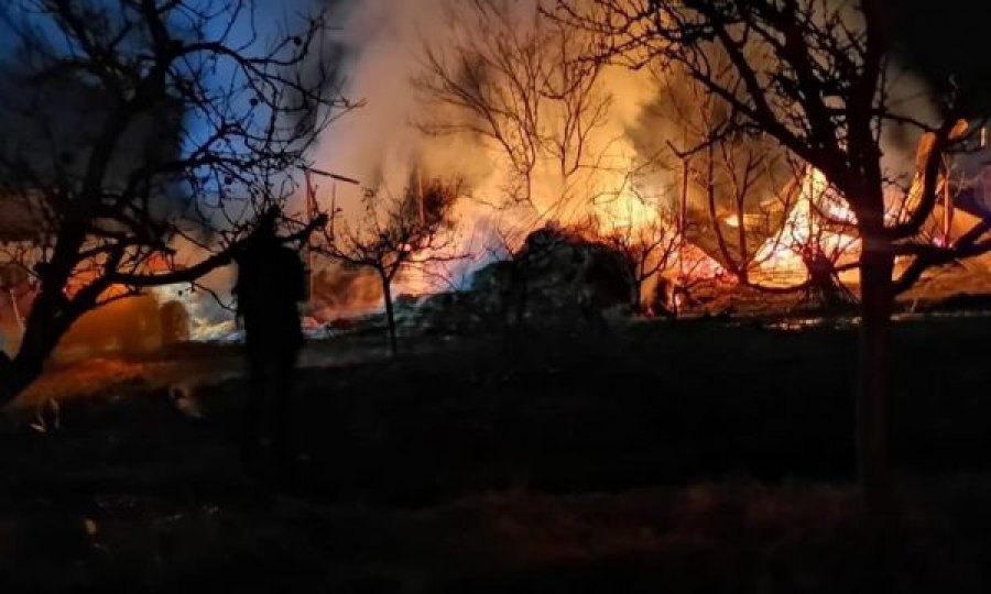  Fishekzjarret në vendin e gabuar, bujkut në Istog i digjen mijëra duaj të bagëtive 