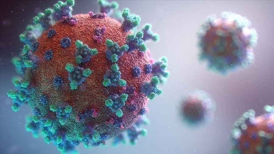  Konfirmohet rasti i parë në botë me “Florona”, gripi sezonal kombinohet me COVID-19 