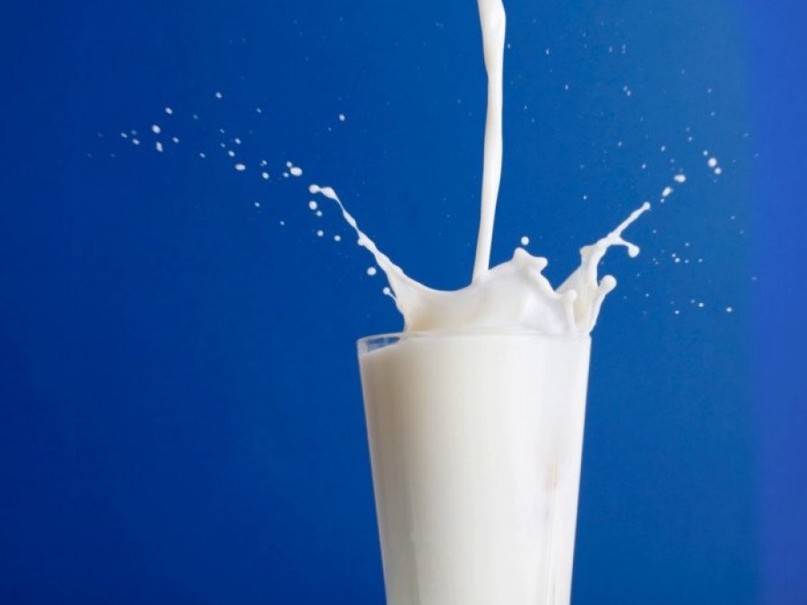 A është rrezik të pimë çdo ditë qumësht?