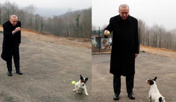 Erdogan kënaqet me qenushin e dëgjueshëm në një strehimore në Turqi: Ai po i pret në ajër të gjithë topat