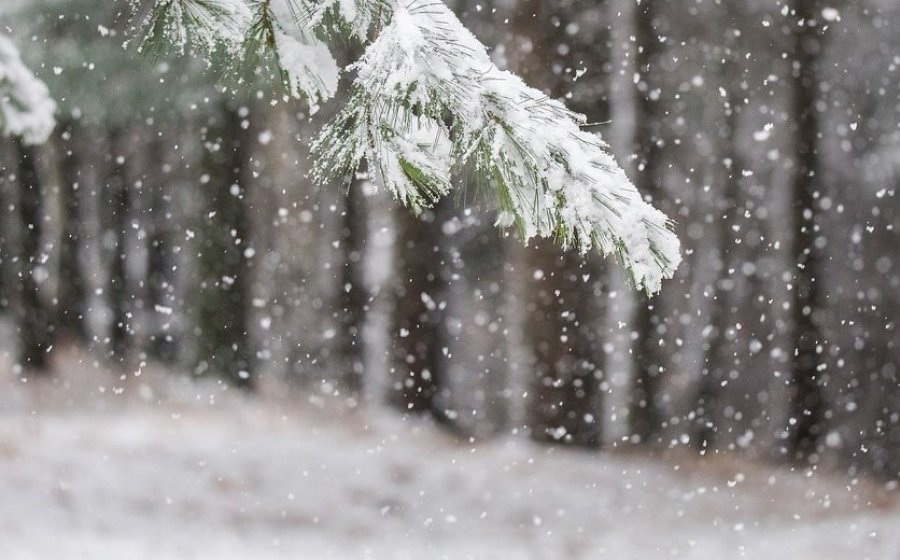 Shi e borë nesër, kështu do të jenë temperaturat