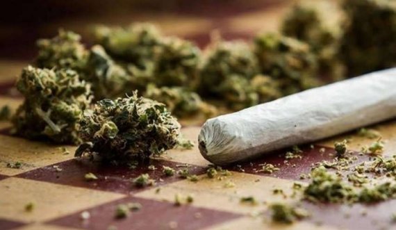 Iu gjet një qese me marihuanë në një lokal në Prishtinë, i akuzuari nuk paraqitet në gjykatë
