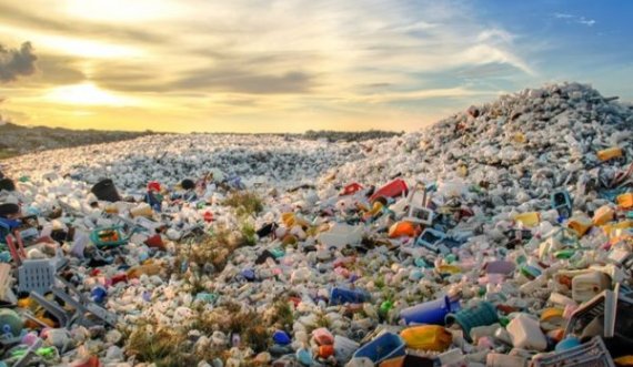 Ndotja plastike problem i madh global, kafshët po vdesin shkaku i saj