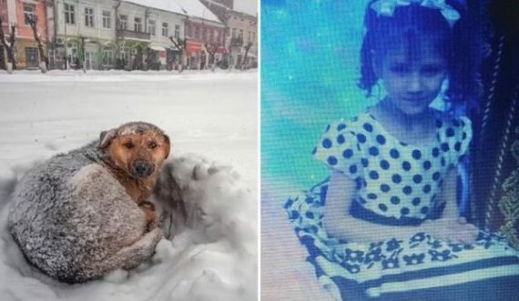 Vajza 10-vjeçare, 18 orë në stuhinë e dëborës, shpëton duke e përqafuar qenin