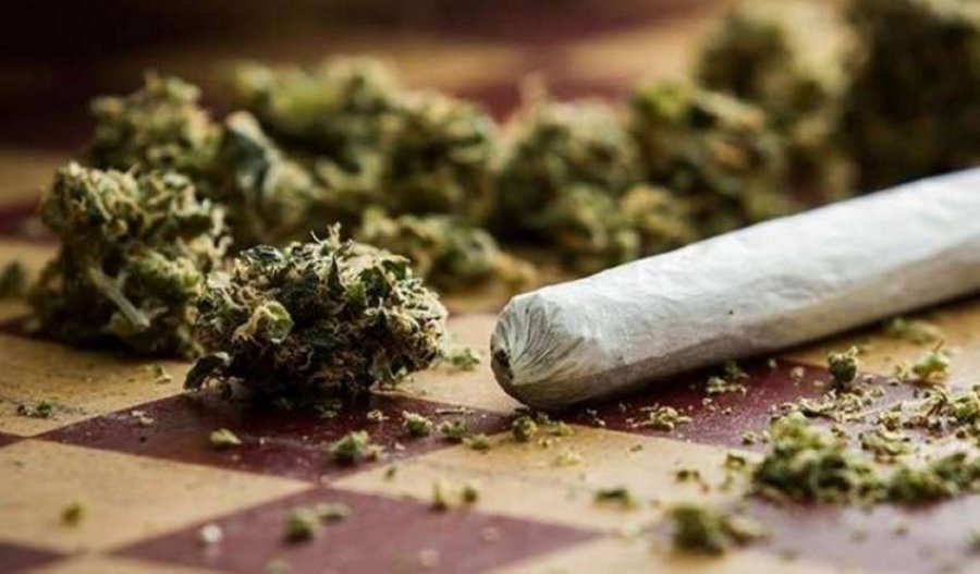 Iu gjet një qese me marihuanë në një lokal në Prishtinë, i akuzuari nuk paraqitet në gjykatë