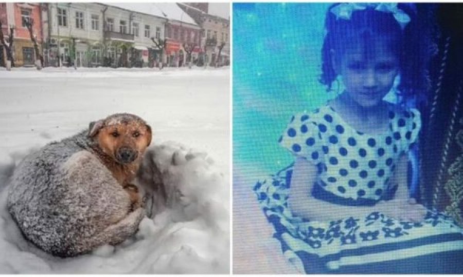 Vajza 10-vjeçare, 18 orë në stuhinë e dëborës, shpëton duke e përqafuar qenin