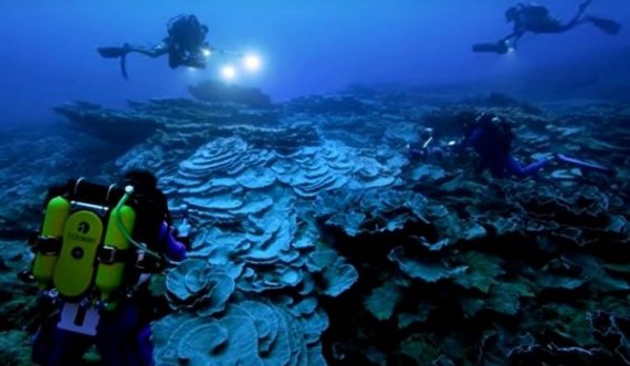 Zbulohet një shkëmb i rrallë koral në Tahiti