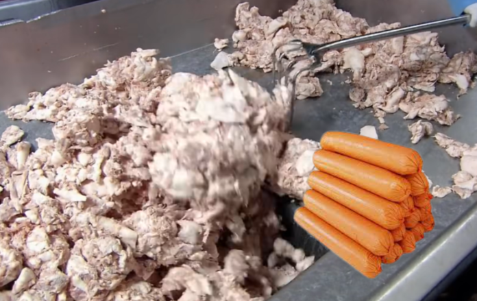 Pasi ta shikoni këtë video se si prodhohen, vështirë se do t’i konsumoni më salçiçet /VIDEO