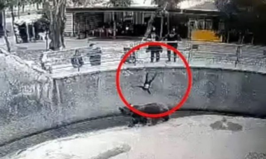Momenti kur një nënë hedh vajzën e saj 3 vjeçare në kafazin e ariut