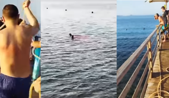 Momenti kur peshkaqeni sulmon për vdekje turisten në Egjipt