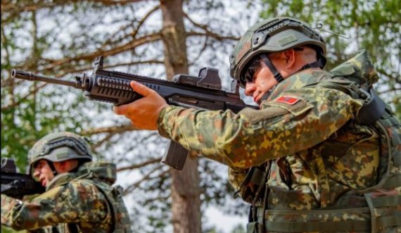 Stërvitje intensive, trupat shqiptare pranë kufirit të Ukrainës