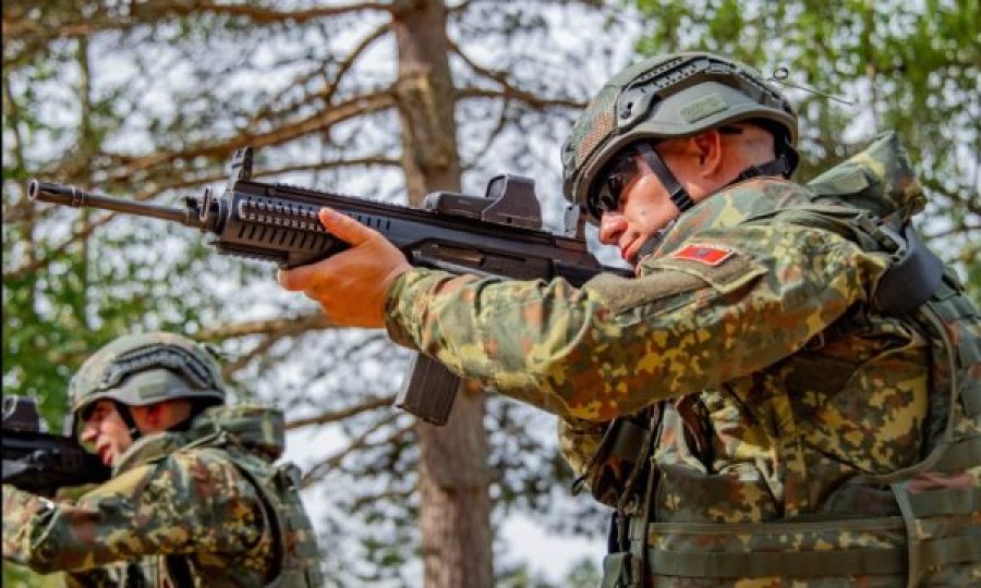 Stërvitje intensive, trupat shqiptare pranë kufirit të Ukrainës