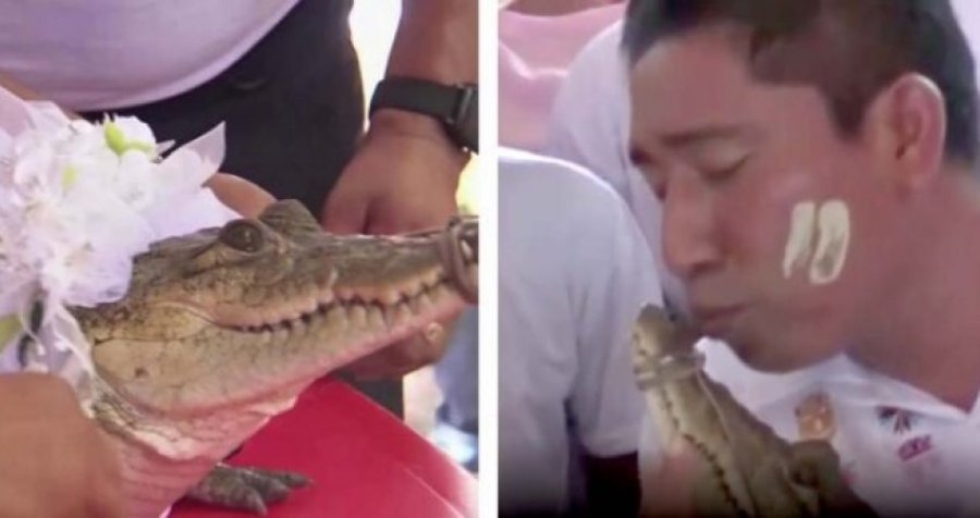 'Kur çmenden njerëzit?': Kryebashkiaku meksikan martohet me një aligator femër