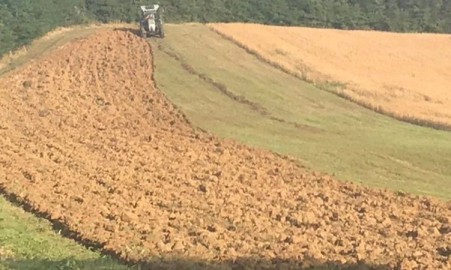 Kosovari duke lëvruar, ujku i gjuhet në traktor