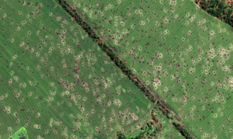 NASA: Rusia tashmë kontrollon mbi 22 për qind të tokës bujqësore në Ukrainë