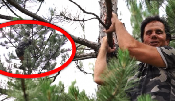 Ky është 76-vjeçari nga Gjilani që ngjitet nëpër lisa 