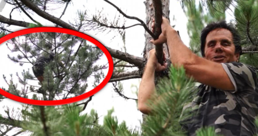 Ky është 76-vjeçari nga Gjilani që ngjitet nëpër lisa 