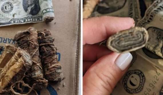 Një familje gjen njëmijë dollarë të vjetra nën verandë