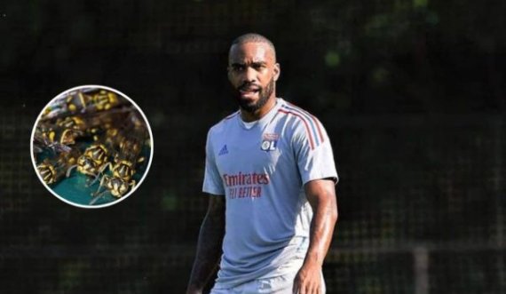 Lacazette pickohet nga grerëzat