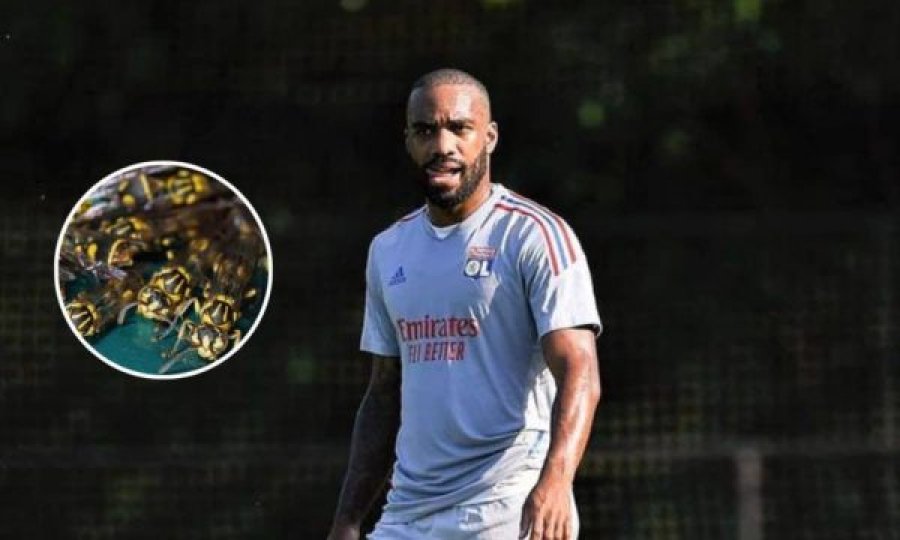 Lacazette pickohet nga grerëzat