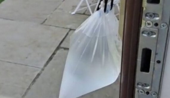 Kjo është zgjidhja e duhur nëse keni mushkonja në shtëpi