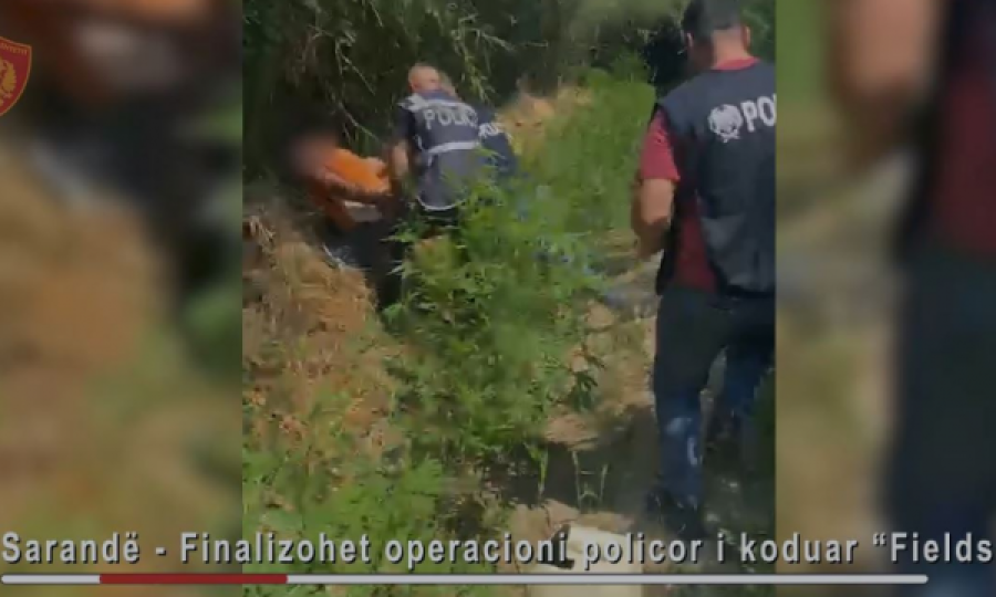Arrestohet 35-vjeçari në Sarandë, u kap mat duke ujitur bimët narkotike