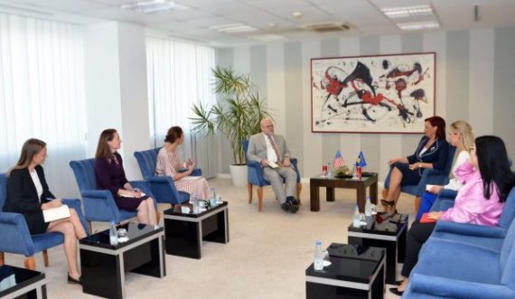 E rrallë, 6 gra në takimin që e pati sot Hovenier me Zëvendëskryeministren