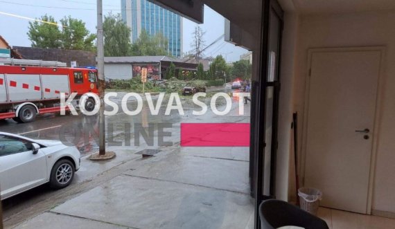 Lajmi i fundit: Erërat e forta rrëzojnë një dru në qendër të Prishtinës, dyshohet se ka zënë dy persona