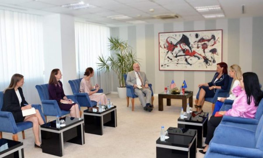 E rrallë, 6 gra në takimin që e pati sot Hovenier me Zëvendëskryeministren