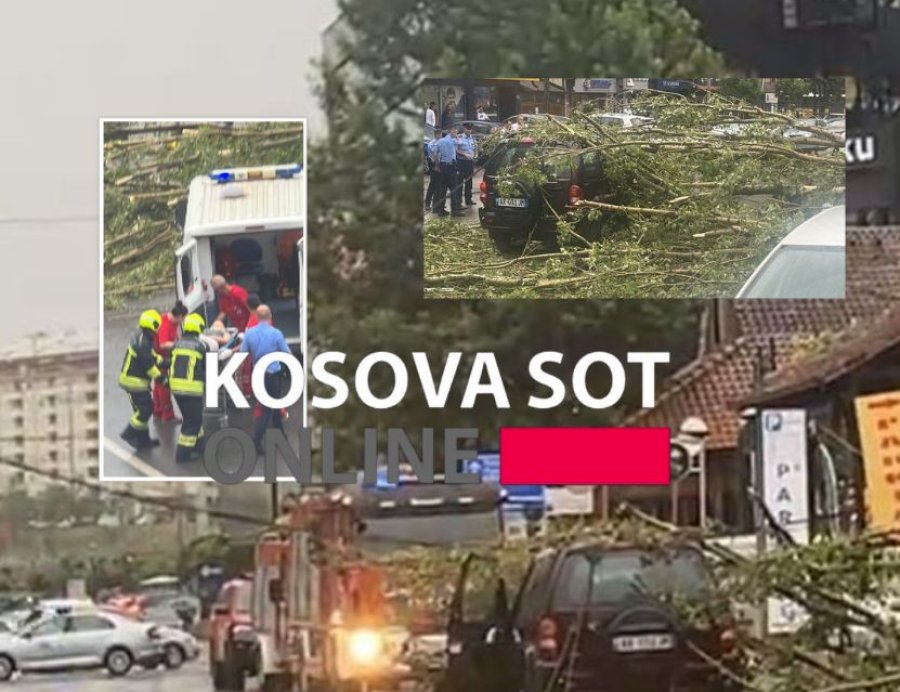 Detaje: 30-vjeçari që e mbyti lisi në Prishtinë është nga kjo komunë