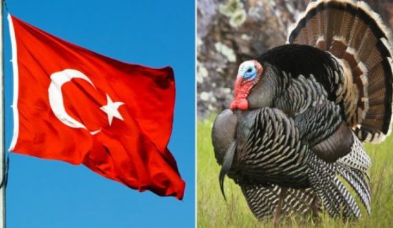 Pas ndërrimit të emrit të Turqisë, nis peticioni për ndërrimin e emrit të gjelit të detit
