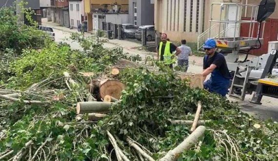 Dy ditë pas tragjedisë në Prishtinë, Komuna e Prishtinës eliminon drunjët e dëmtuar