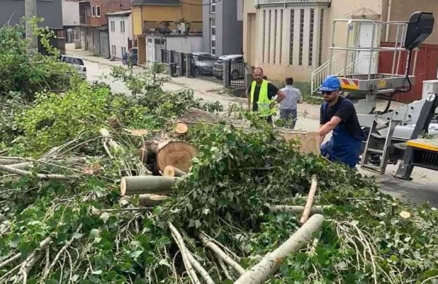 Dy ditë pas tragjedisë në Prishtinë, Komuna e Prishtinës eliminon drunjët e dëmtuar