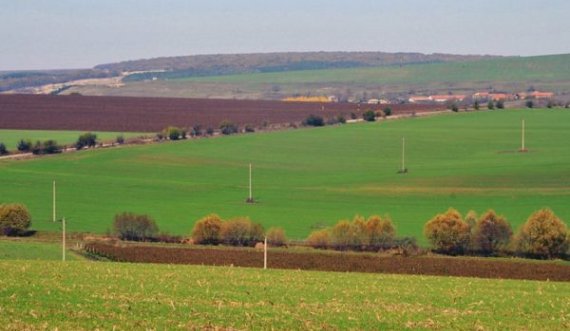 Përgatitnin shitjen e një toke në vlerë rreth një milion euro, arrestohen dy persona