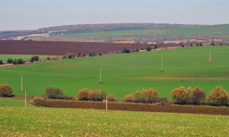 Përgatitnin shitjen e një toke në vlerë rreth një milion euro, arrestohen dy persona