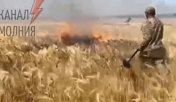 Beteja për bukën: Rusët djegin arat me grurë