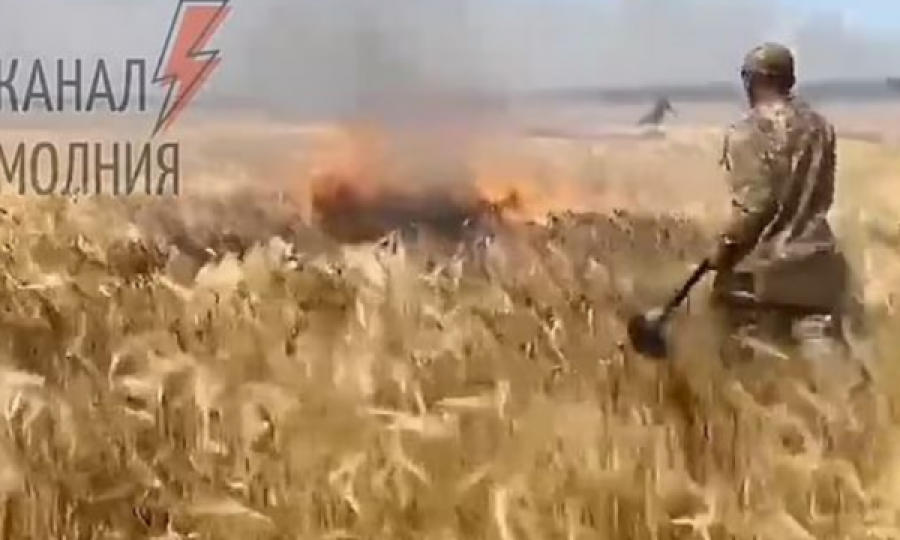 Beteja për bukën: Rusët djegin arat me grurë