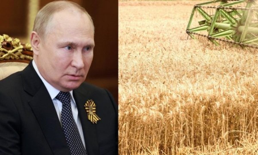 Cili është “plani i urisë” që po përgatit Putini – paralajmëron historiani amerikan