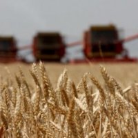 Rusia nis dërgesat e drithërave nga territoret e pushtuara të Ukrainës