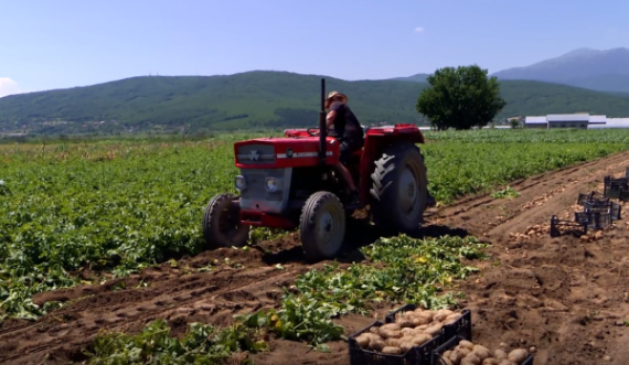 Çmimet e naftës rrezikojnë bujqit e Kosovës