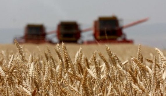 Pse egziston frika te Gjermania nga drithërat ukrainase?