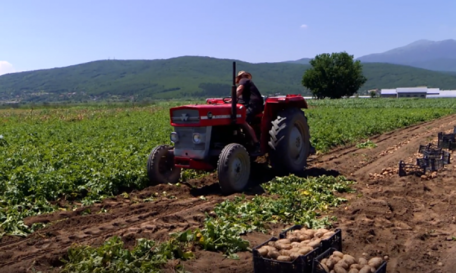 Çmimet e naftës rrezikojnë bujqit e Kosovës