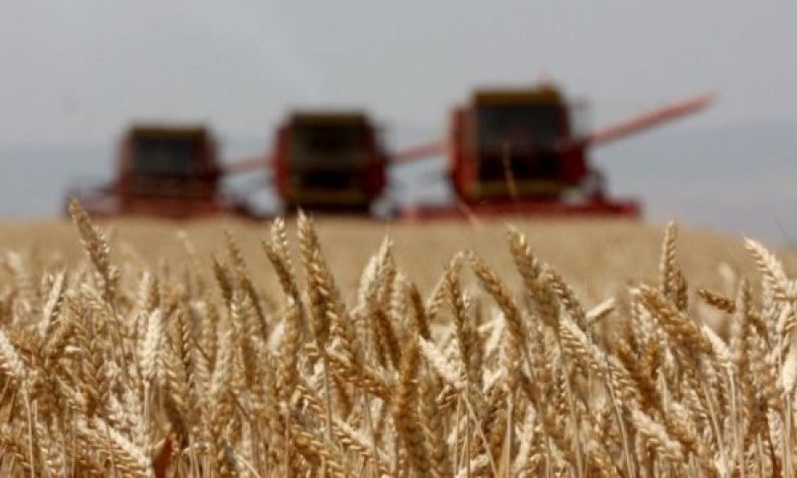 Rusia nis dërgesat e drithërave nga territoret e pushtuara të Ukrainës