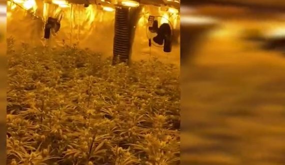 VIDEO/ Shtëpia plot me bar, policia spanjolle kap shqiptarin