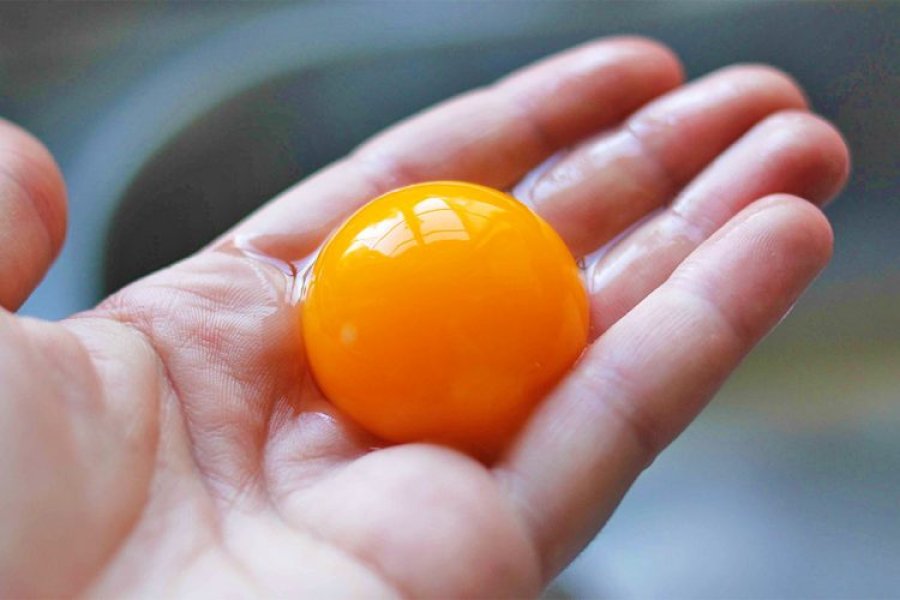 Cilat janë efektet pozitive të konsumimit të të verdhëve të vezëve