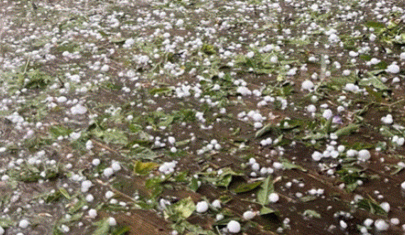 Parku në Prishtinë kaplohet nga breshri