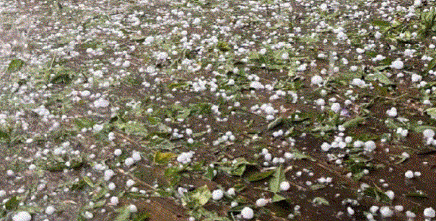 Parku në Prishtinë kaplohet nga breshri